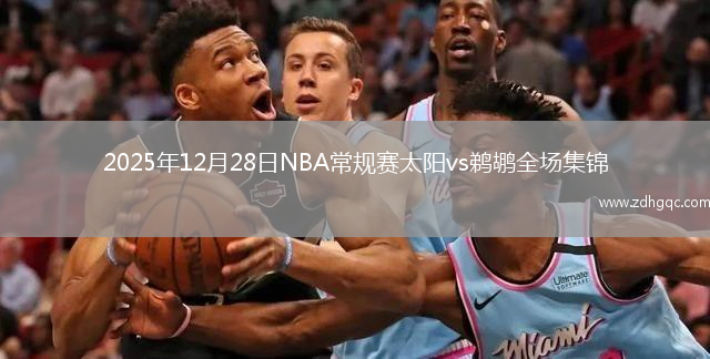 2025年12月28日NBA常规赛太阳vs鹈鹕全场集锦