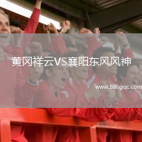 黄冈祥云VS襄阳东风风神