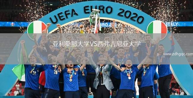 亚利桑那大学VS西弗吉尼亚大学