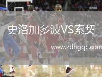 史洛加多波VS索契