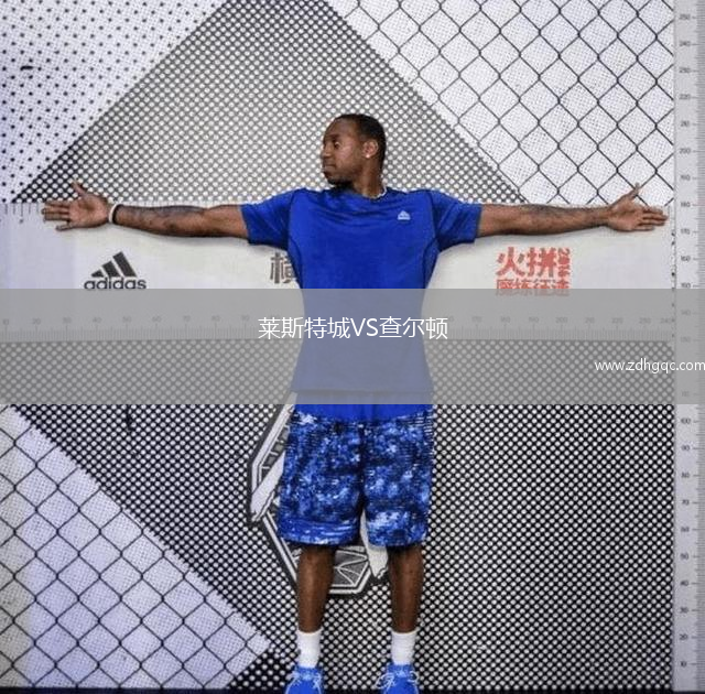 莱斯特城VS查尔顿