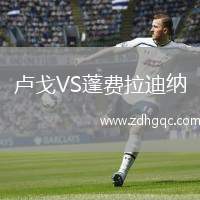 卢戈VS蓬费拉迪纳