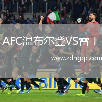 AFC温布尔登VS雷丁