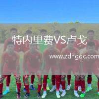 特内里费VS卢戈