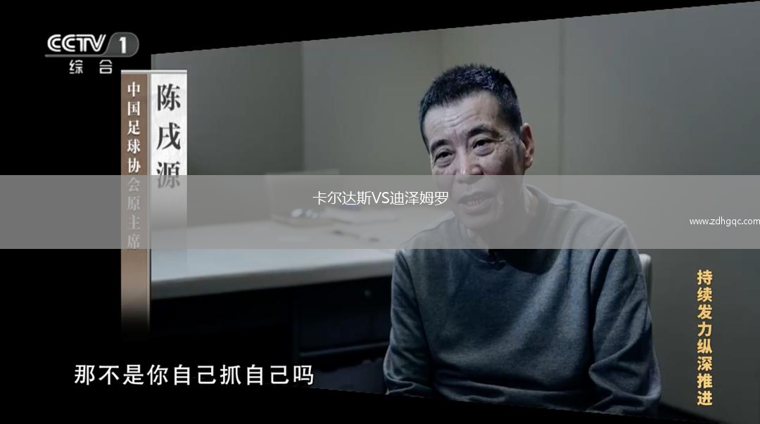 卡尔达斯VS迪泽姆罗