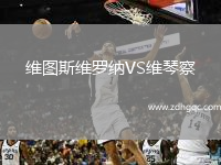 维图斯维罗纳VS维琴察