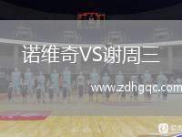 诺维奇VS谢周三