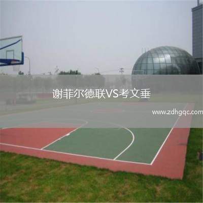 谢菲尔德联VS考文垂