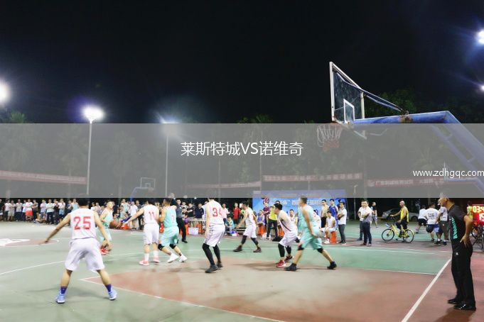 莱斯特城VS诺维奇