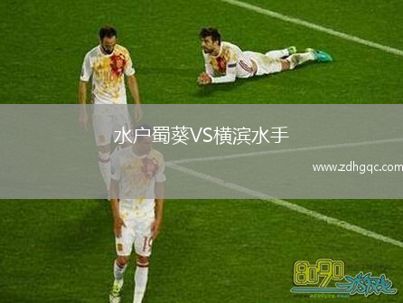 水户蜀葵VS横滨水手