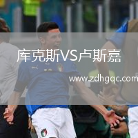 库克斯VS卢斯嘉