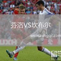 芬洛VS坎布尔