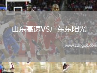 山东高速VS广东东阳光