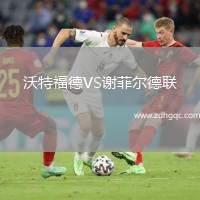 沃特福德VS谢菲尔德联