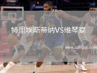 特里埃斯蒂纳VS维琴察