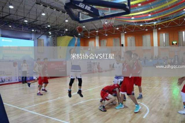 米特协会VS红星