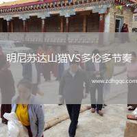 明尼苏达山猫VS多伦多节奏
