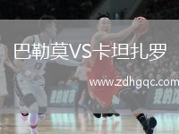巴勒莫VS卡坦扎罗