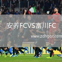安养FCVS富川FC