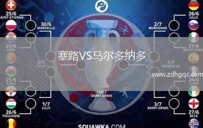 塞路VS马尔多纳多