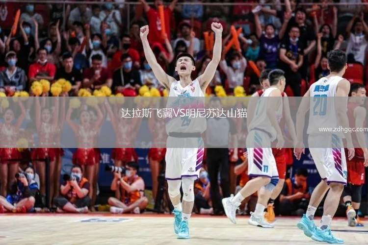 达拉斯飞翼VS明尼苏达山猫