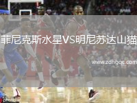 菲尼克斯水星VS明尼苏达山猫