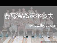 费瓦德VS沃尔多夫