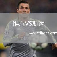维京VS斯达