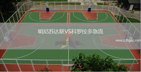 明尼苏达联VS科罗拉多急流
